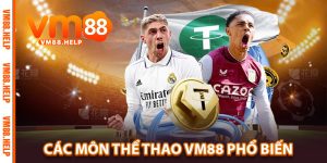 Các Môn Thể Thao VM88 Phổ Biến