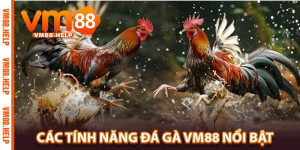 Các Tính Năng Đá Gà VM88 Nổi Bật